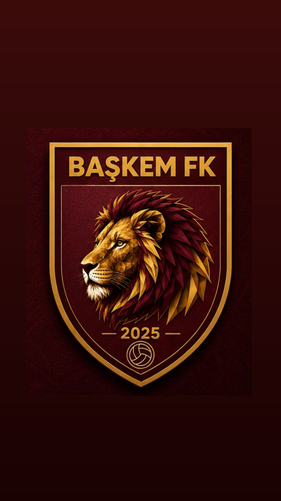 BAŞKEM FK resmî logosu